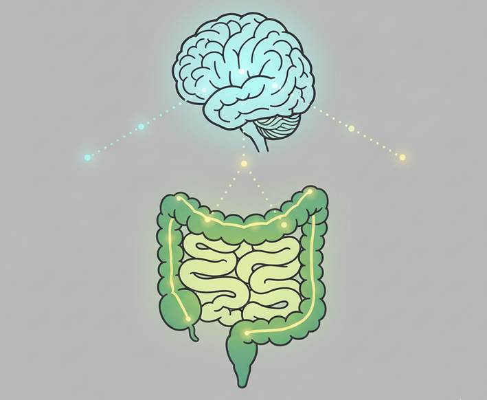 【不安を和らげる】GABA・セロトニンをサポートする「腸活」サプリメントと栄養素の選び方